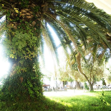 Possidona Beach Hotel Gerakini Bagian luar foto